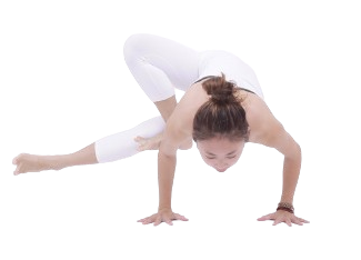 Hiko Awareness - Mindfullness - Yoga - Meridiaan therapie - Vitaliteit cursus & dieet